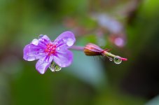 DSC01807-Editar_WEB.jpg