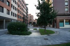 2024 07 08 Amorebieta 025 para web.JPG