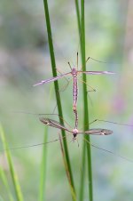 DSC01929_WEB.jpg