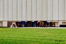 DSC02317 (1).jpg