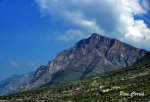 mini_DSC00076.JPG