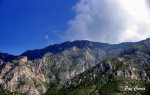 mini_DSC00080.JPG