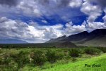 mini_DSC04127.JPG