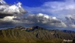mini__DSC1518.JPG