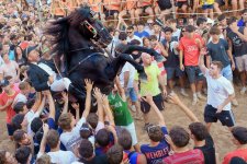 Mercadal29.jpg