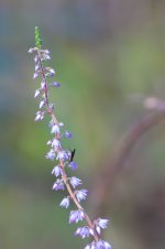 DSC03599_WEB.jpg