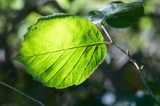 DSC03836_WEB.jpg