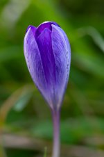DSC04069_WEB.jpg