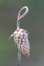 DSC04009_WEB.jpg