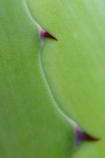 DSC04028_WEB.jpg
