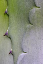 IMG_8433.jpg