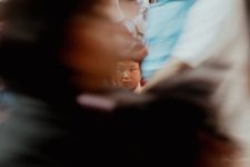 _A743238.jpg