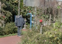 2024 11 16 Lekeitio.jpg