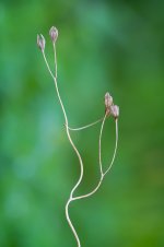 DSC04695_WEB.jpg