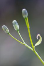 DSC04657_WEB.jpg