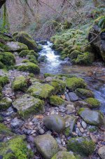 DSC04797_WEB.jpg