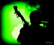 DSC01895 (1).jpg