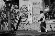 DSC00206-1.jpg