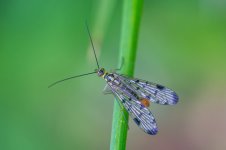 DSC05598-Mejorado-NR_WEB.jpg