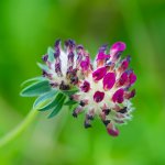 DSC05577-Editar_WEB.jpg