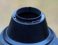 2390_DSC03313_1.jpg