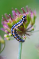 DSC05604_WEB.jpg