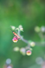 DSC05835_WEB.jpg
