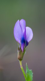 DSC05632-Editar_WEB.jpg