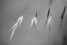 DSC05729_WEB.jpg