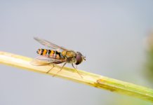 DSC05954-Editar_WEB.jpg