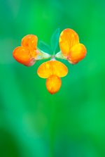 DSC06097-Editar_WEB.jpg