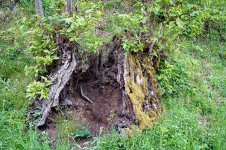 DSC06524 ps04.jpg