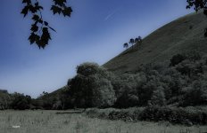 DSC06771 ps03.jpg