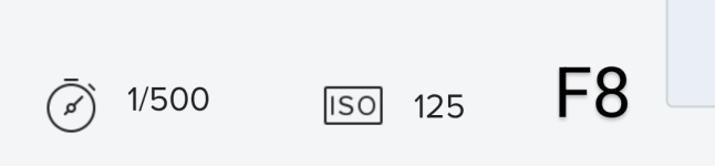 Screenshot_20250604-220215~2.png