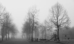 2024 12 29 Amorebieta 006 WEB C Max.jpg