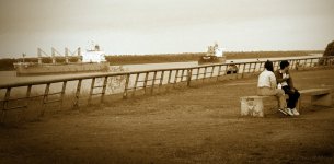 DSC00256-3-2s.jpg