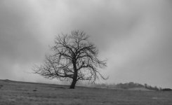 DSC06435 ps01.jpg