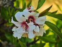 MVIMG_20250401_191150_edited.jpeg