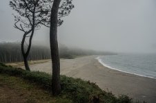 DSC07008 ps02.jpg