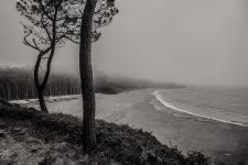 DSC07008 ps03.jpg