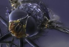 Mosca (7).jpg