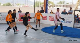 DSC07879.JPG