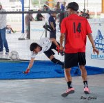 DSC07984.JPG