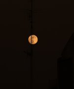 _DSC1447.jpeg