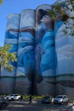 DSC00362.jpg