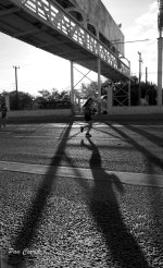 DSC09905.jpg