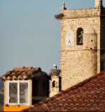B7060790-98F8-45F9-8312-5E7EEDF1341C.jpeg