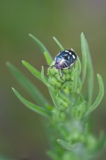 DSC06222-Editar_WEB.jpg