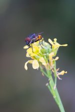DSC06189-Editar_WEB.jpg