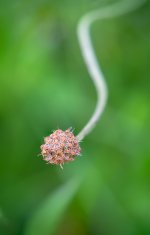 DSC06035-Editar_WEB.jpg